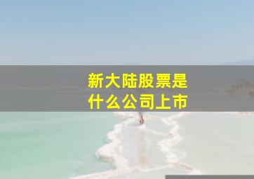 新大陆股票是什么公司上市