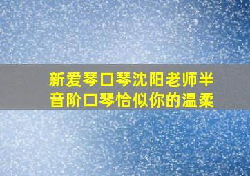 新爱琴口琴沈阳老师半音阶口琴恰似你的温柔