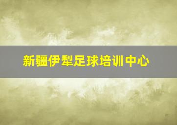 新疆伊犁足球培训中心