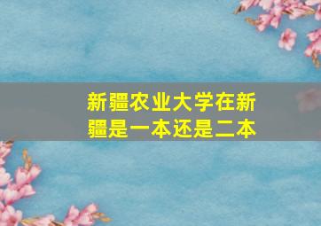 新疆农业大学在新疆是一本还是二本