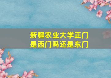 新疆农业大学正门是西门吗还是东门