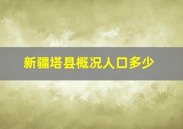 新疆塔县概况人口多少