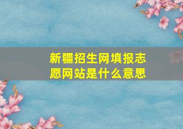 新疆招生网填报志愿网站是什么意思