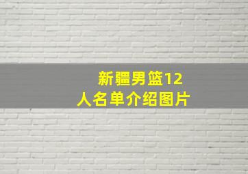 新疆男篮12人名单介绍图片