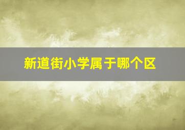 新道街小学属于哪个区