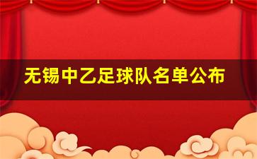 无锡中乙足球队名单公布