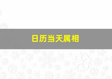 日历当天属相