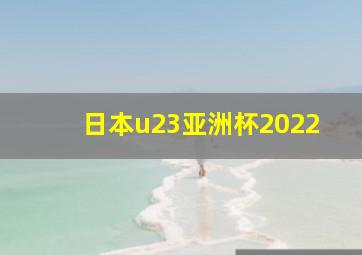 日本u23亚洲杯2022