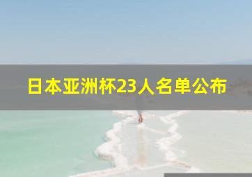 日本亚洲杯23人名单公布