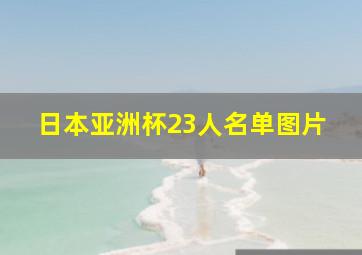 日本亚洲杯23人名单图片