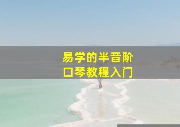 易学的半音阶口琴教程入门