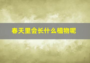 春天里会长什么植物呢