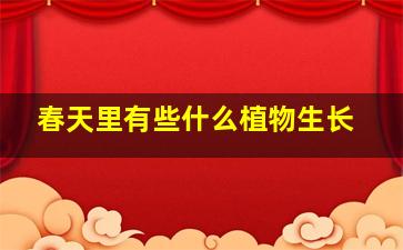 春天里有些什么植物生长