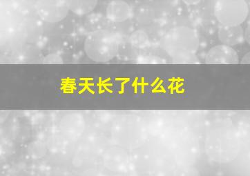 春天长了什么花