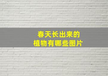 春天长出来的植物有哪些图片