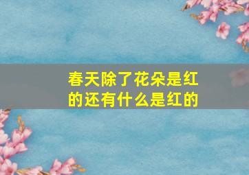 春天除了花朵是红的还有什么是红的