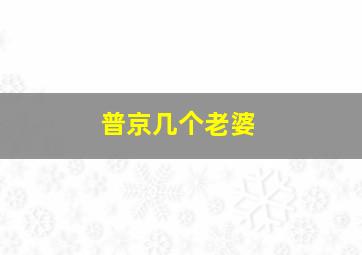 普京几个老婆