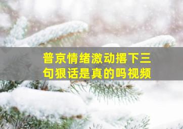 普京情绪激动撂下三句狠话是真的吗视频