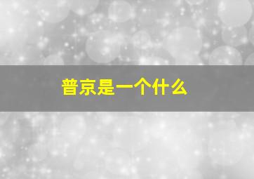 普京是一个什么