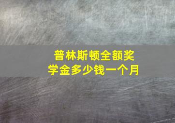 普林斯顿全额奖学金多少钱一个月