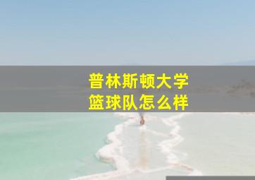 普林斯顿大学篮球队怎么样