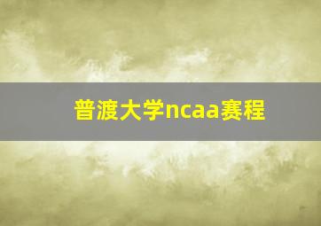 普渡大学ncaa赛程