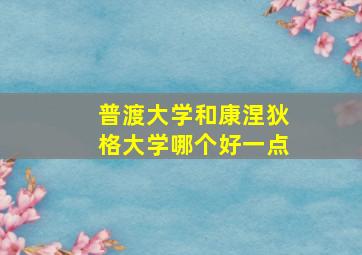 普渡大学和康涅狄格大学哪个好一点