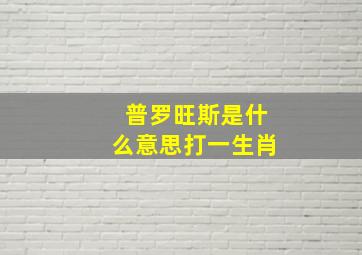 普罗旺斯是什么意思打一生肖