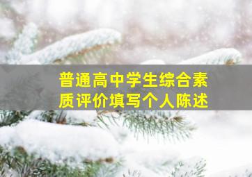 普通高中学生综合素质评价填写个人陈述