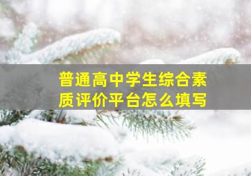 普通高中学生综合素质评价平台怎么填写