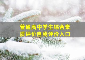 普通高中学生综合素质评价自我评价入口