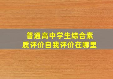 普通高中学生综合素质评价自我评价在哪里