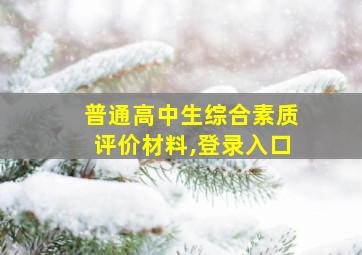 普通高中生综合素质评价材料,登录入口