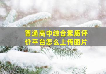 普通高中综合素质评价平台怎么上传图片