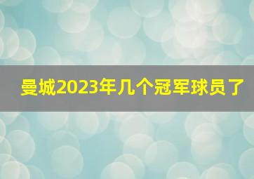 曼城2023年几个冠军球员了