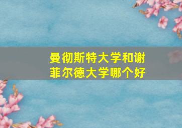 曼彻斯特大学和谢菲尔德大学哪个好