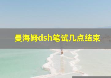 曼海姆dsh笔试几点结束