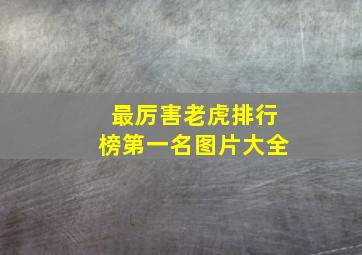 最厉害老虎排行榜第一名图片大全