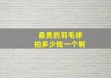 最贵的羽毛球拍多少钱一个啊