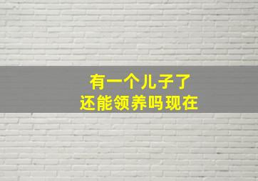 有一个儿子了还能领养吗现在