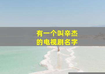 有一个叫辛杰的电视剧名字