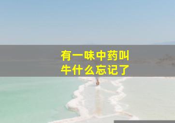 有一味中药叫牛什么忘记了