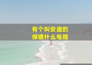 有个叫安迪的保镖什么电视