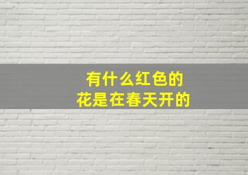 有什么红色的花是在春天开的