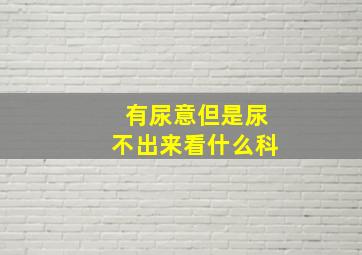 有尿意但是尿不出来看什么科