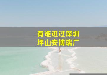 有谁进过深圳坪山安博瑞厂