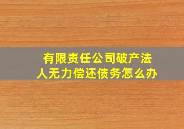 有限责任公司破产法人无力偿还债务怎么办