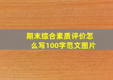 期末综合素质评价怎么写100字范文图片