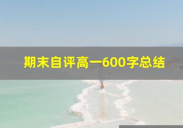 期末自评高一600字总结