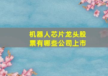 机器人芯片龙头股票有哪些公司上市